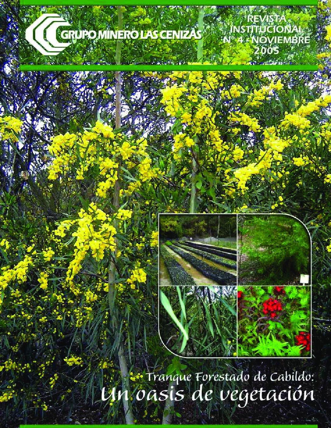 Portada revista con flores amarillas y vivero