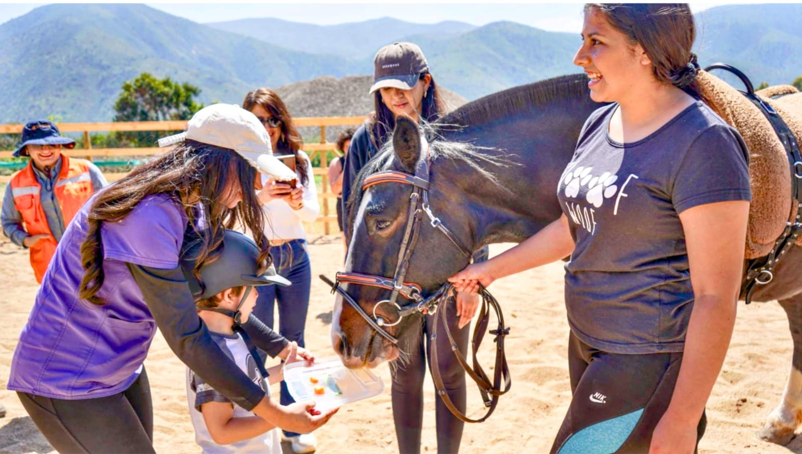 Niño alimentando un caballo en actividad ecuestre