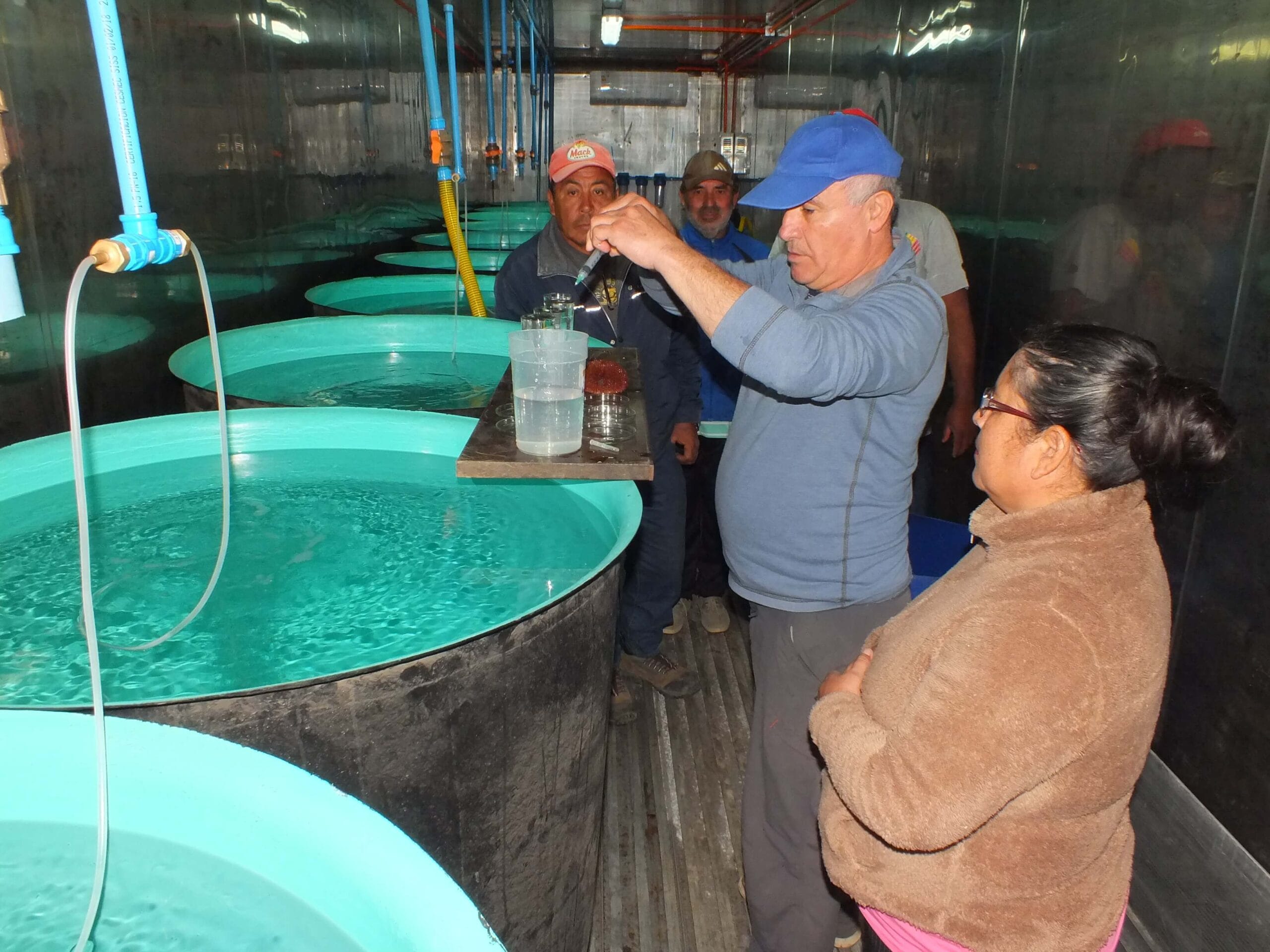Trabajadores analizan agua en tanques de acuicultura