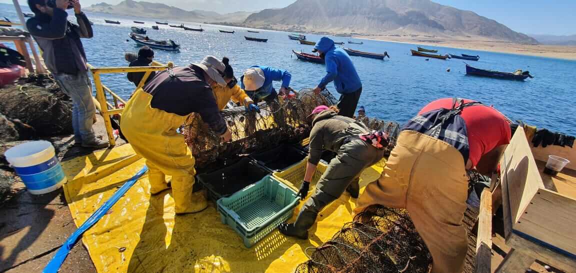 Pescadores clasificando redes en el puerto