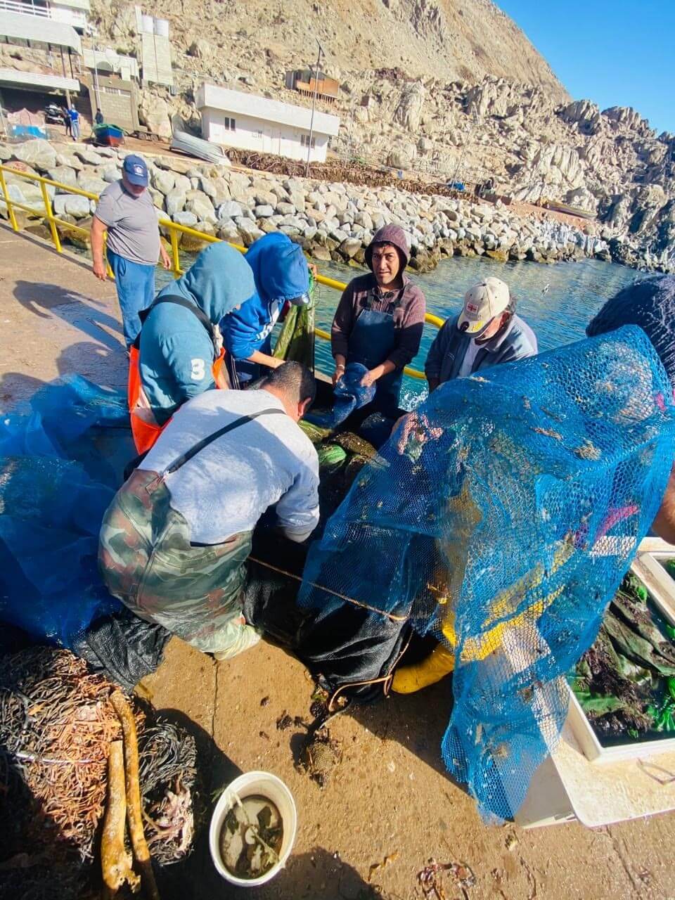 Pescadores clasificando captura en muelle rocoso