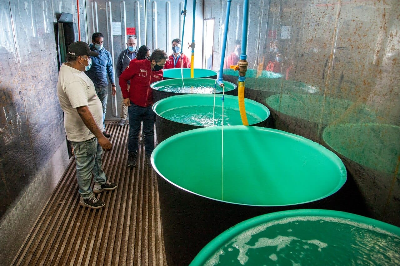 Técnicos inspeccionan tanques de agua en instalación industrial