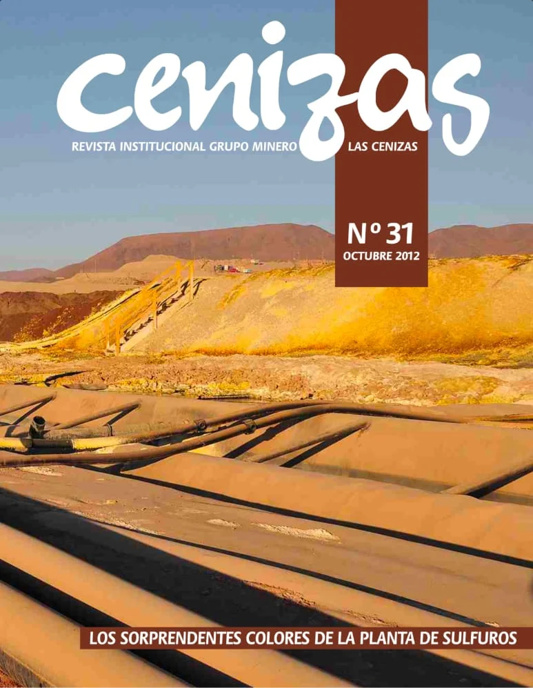 Portada revista minera con planta de sulfuros