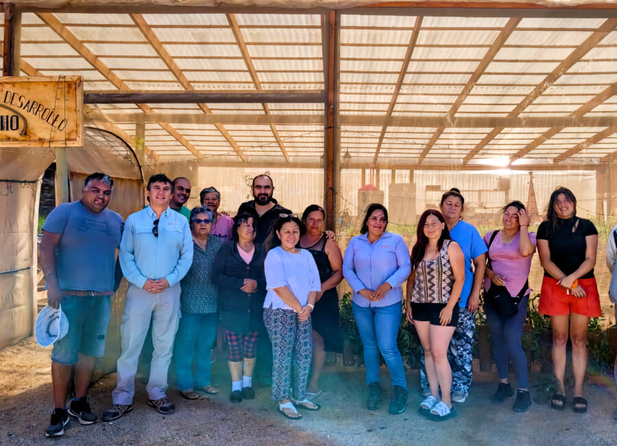 reunión presentación proyecto ampliación del hidropónico 4