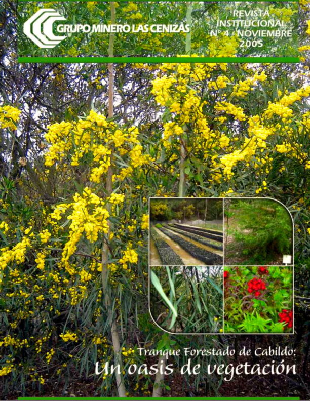 revista cenizas 04
