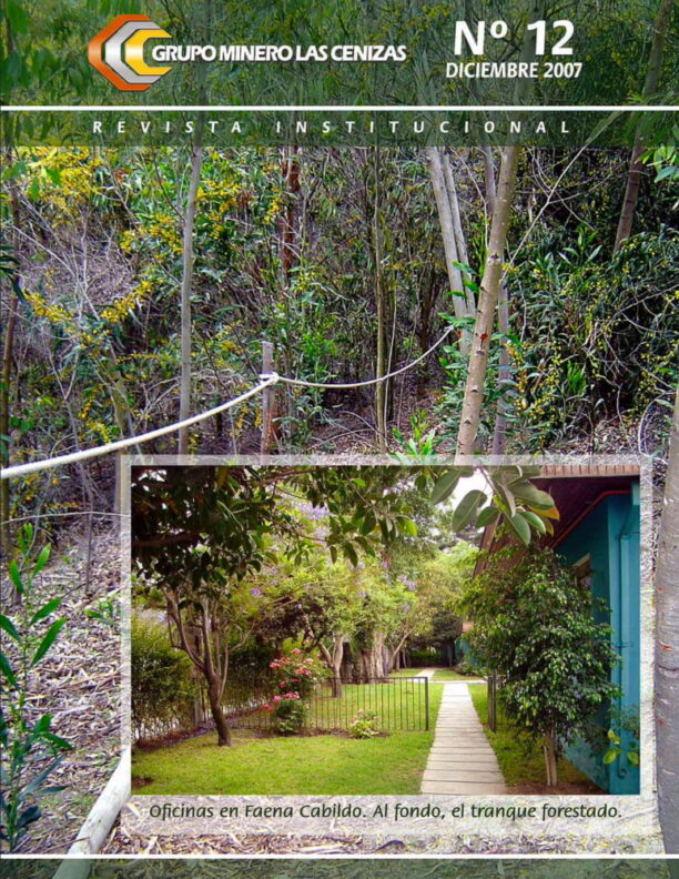 revista cenizas 12