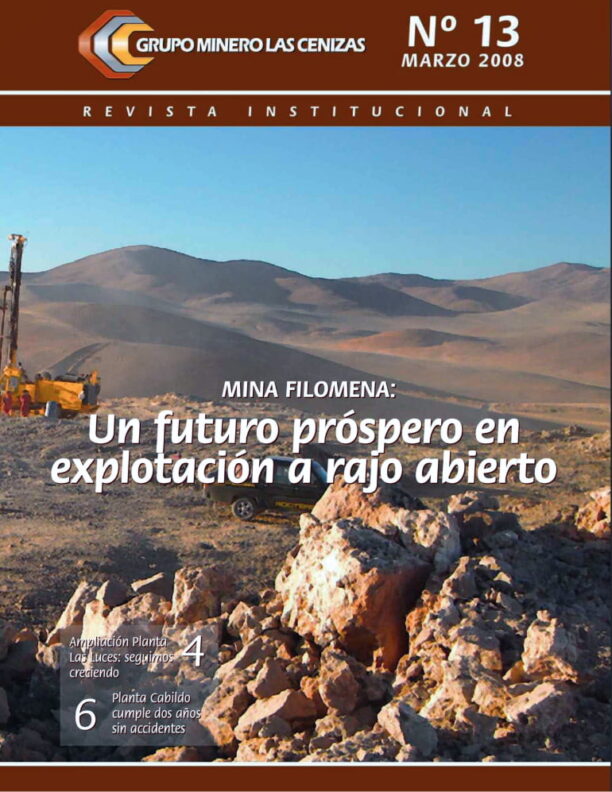 revista cenizas 13