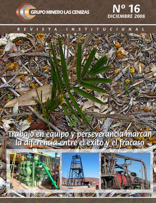 revista cenizas 16