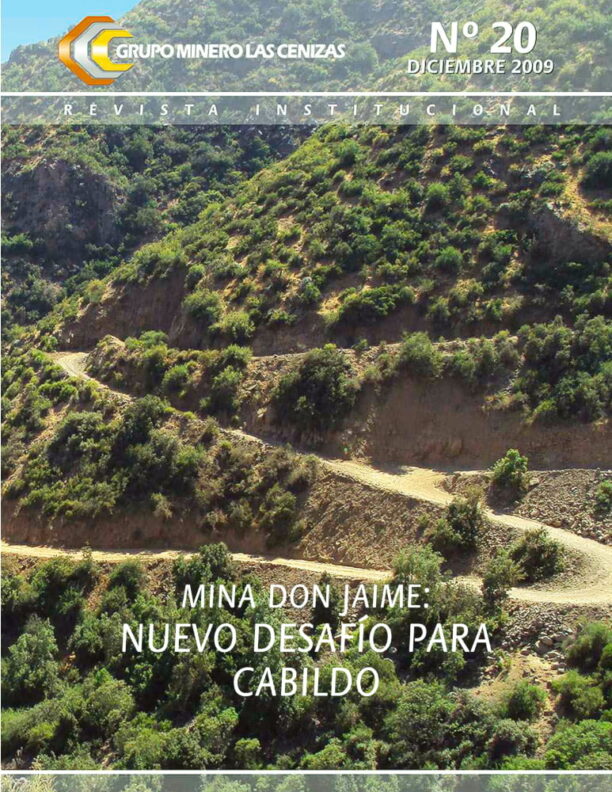 revista cenizas 20