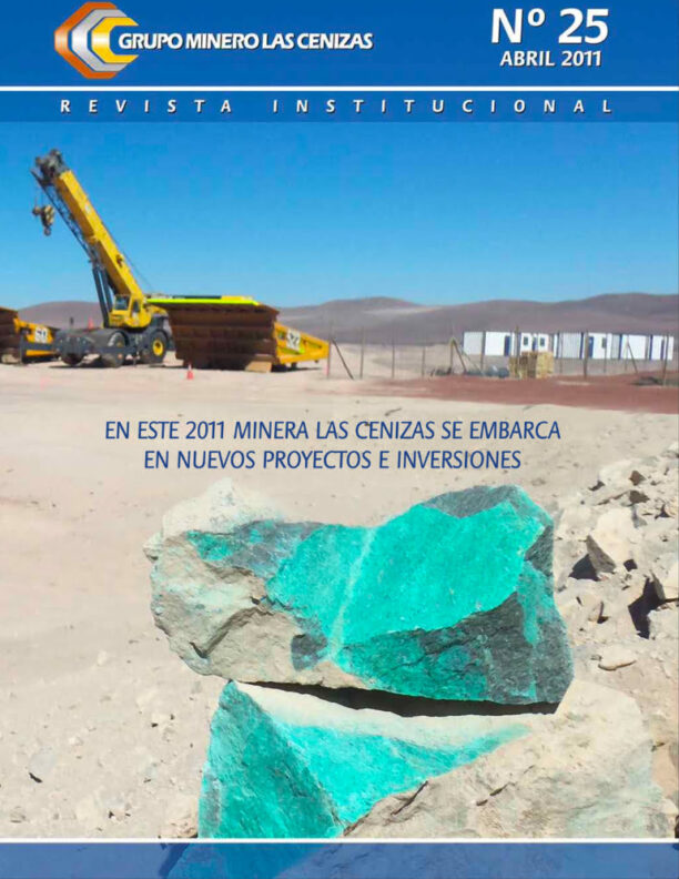 revista cenizas 25