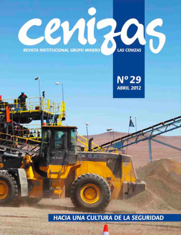 revista cenizas 29
