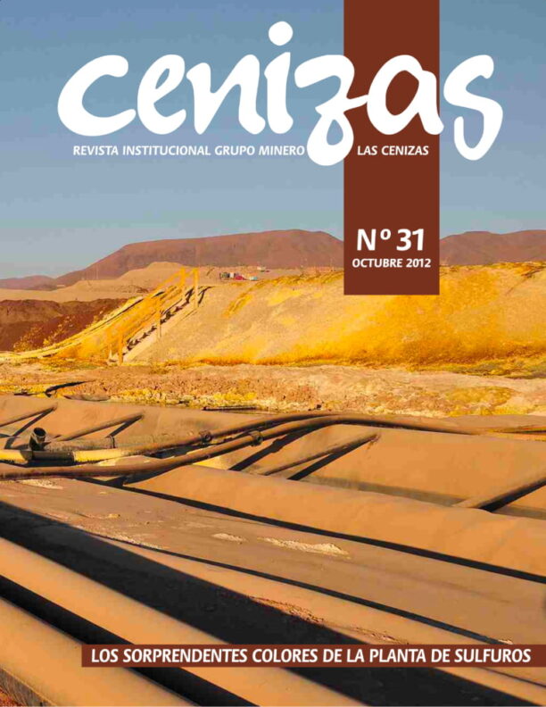 revista cenizas 31