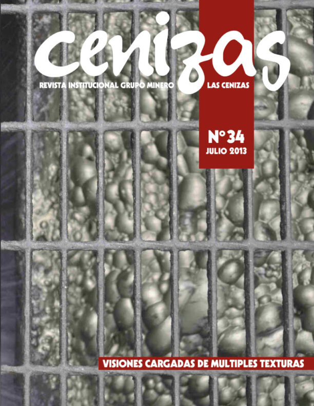 revista cenizas 34