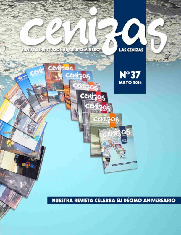 revista cenizas 37