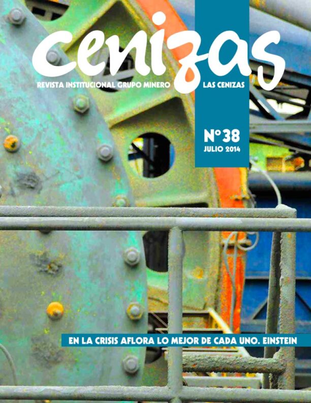 revista cenizas 38