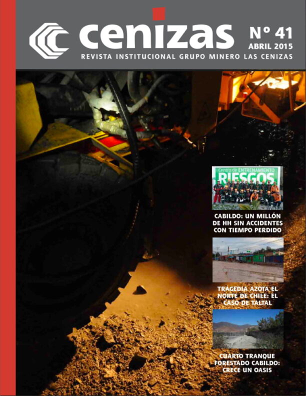 revista cenizas 41
