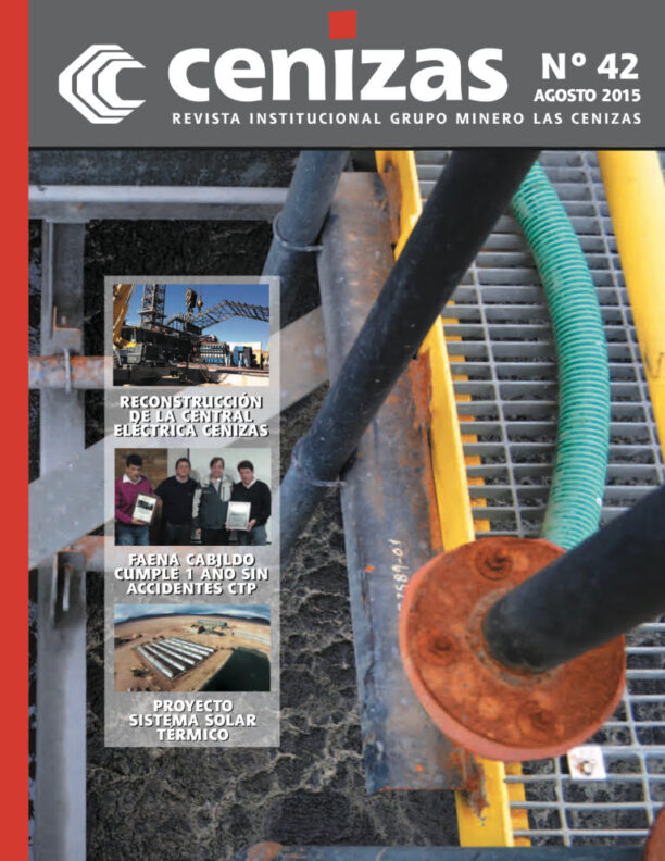 revista cenizas 42