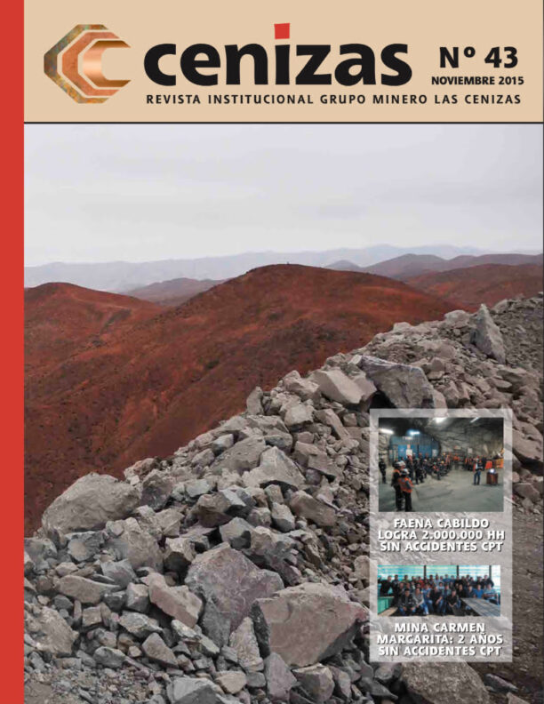 revista cenizas 43