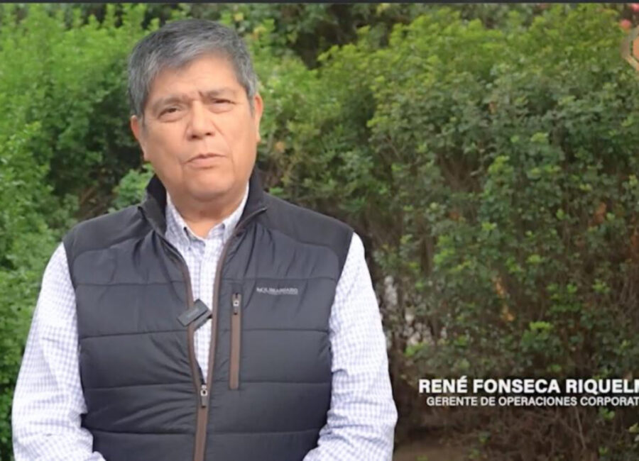 tropezon rene