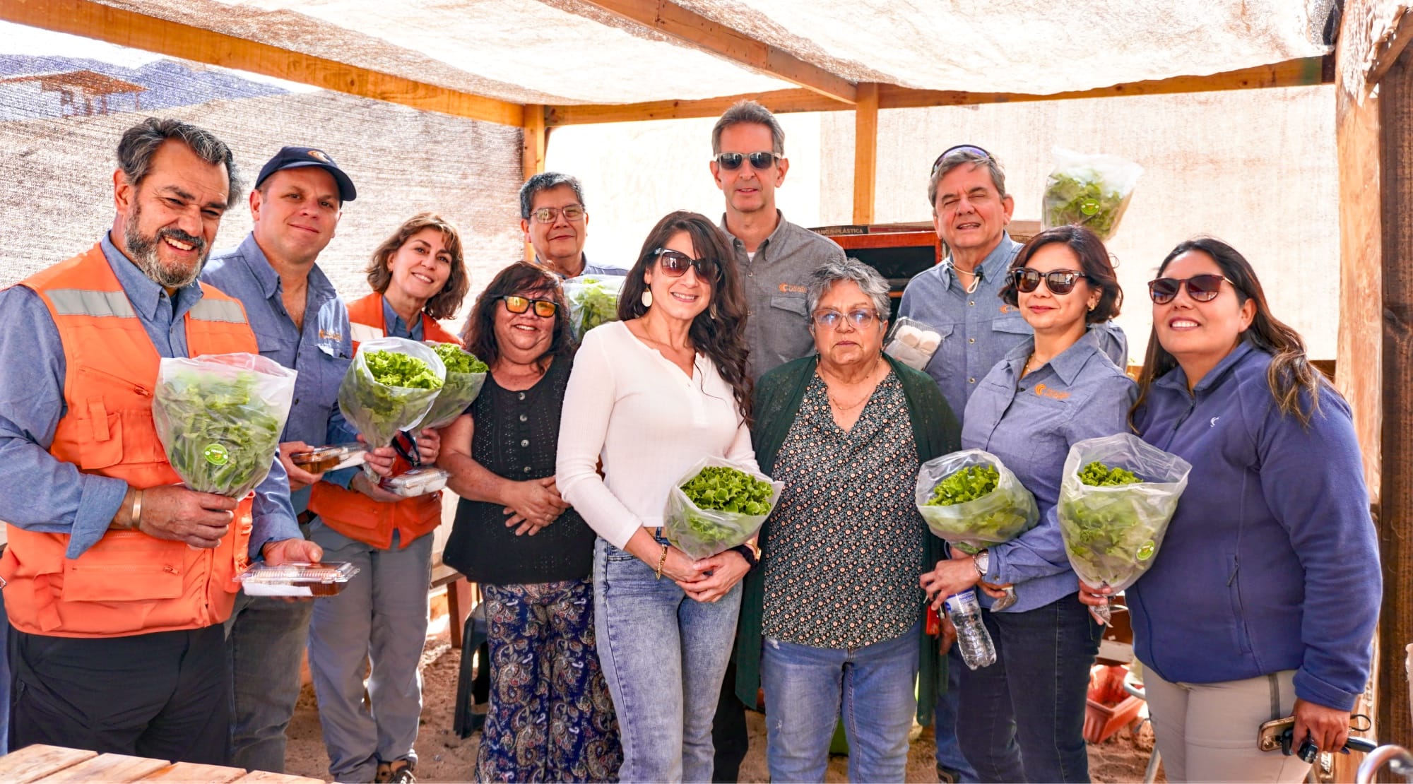Grupo con lechugas en invernadero comunitario